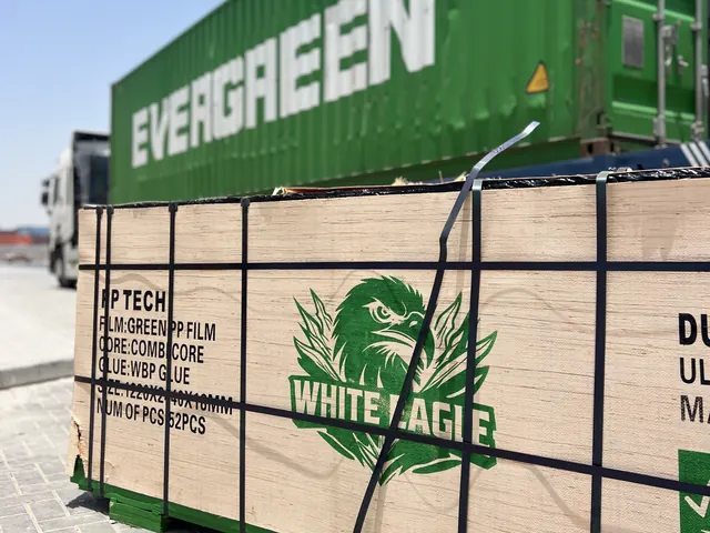 Bundle of White Eagle PP Tech film-faced plywood in front of a shipping container
